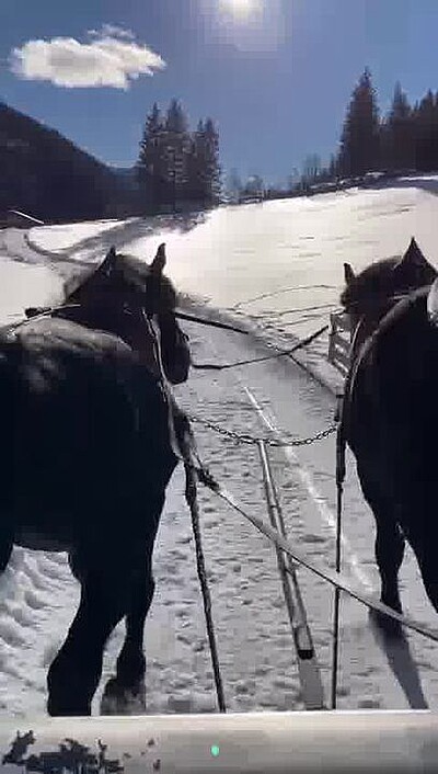 Naturerlebnisse für die ganze Familie: Romantische Pferdeschlittenfahrt mit Kutscher Ingo - eingehüllt in eine kuschelige Decke durch die verschneite Winterlandschaft des Winkeltals inmitten der...