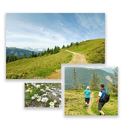 Es wird Sommer ️ in den Bergen ️ und unsere Wanderführerin Maria hat unseren Gästen besondere Plätze rund um unseren Hausberg, dem Thurntaler gezeigt… www.sporthotel-sillian.at ...